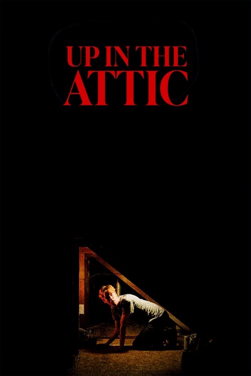 Up In The Attic