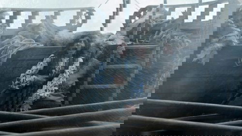 Vikings: Valhalla - Leap of Faith