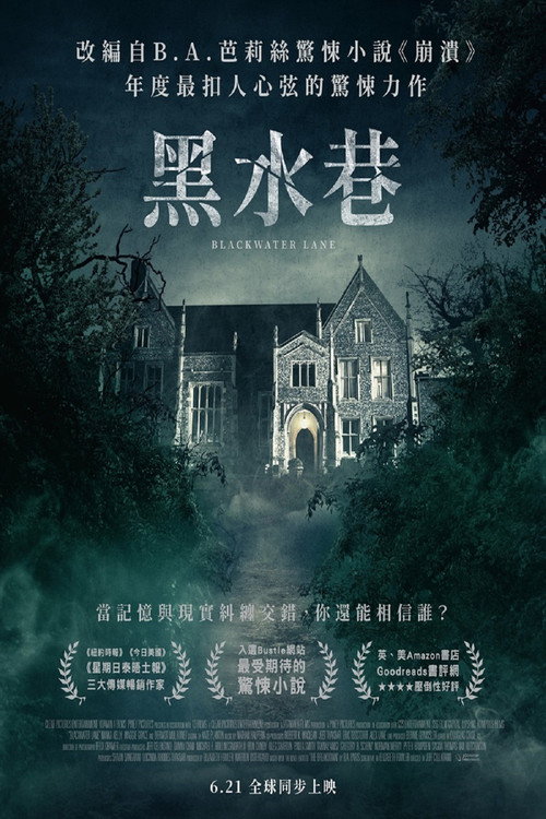 黑水巷电影海报