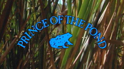 Prince of the Pond