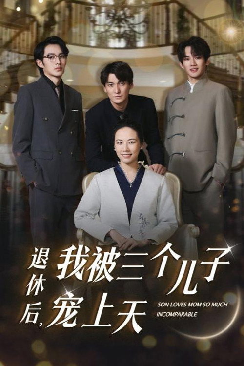 退休后，我被三个儿子宠上天电影海报
