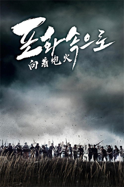 向着炮火电影海报