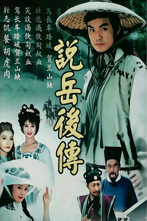 说岳后传电影海报