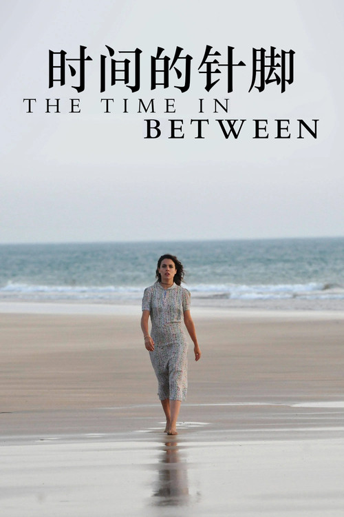 时间的针脚电影海报