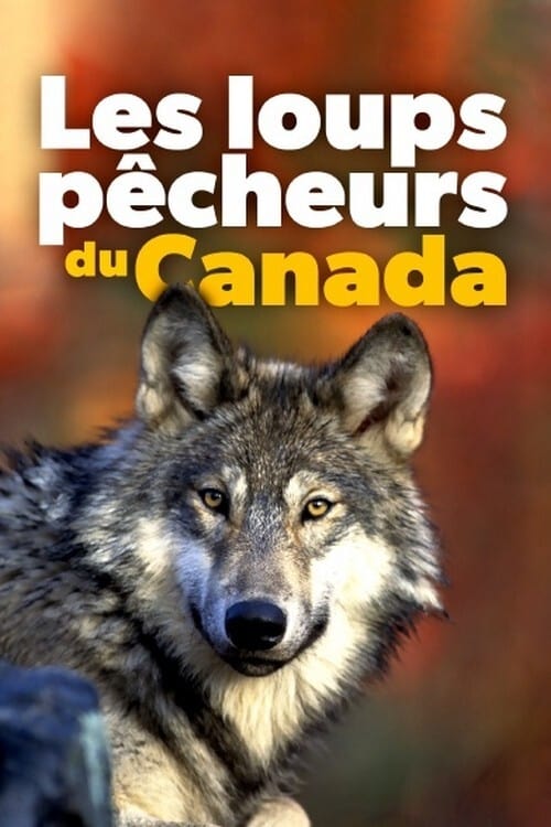 Les+loups+p%C3%AAcheurs+du+Canada