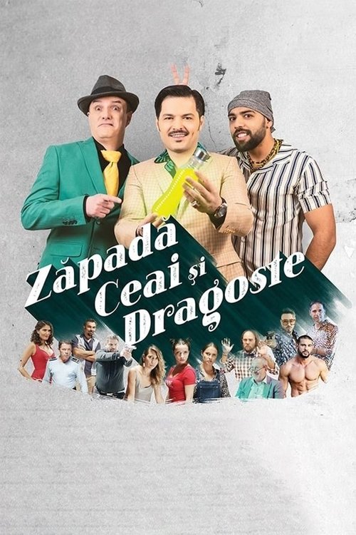 Zăpadă, ceai și dragoste poster