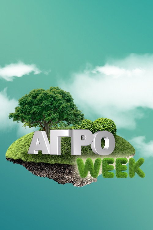 &Alpha;&Gamma;&Rho;&Omicron;WEEK电影海报