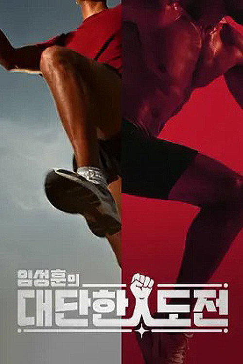 임성훈의 대단한 도전电影海报