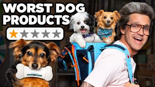 Are These New Pet Products Worth It?