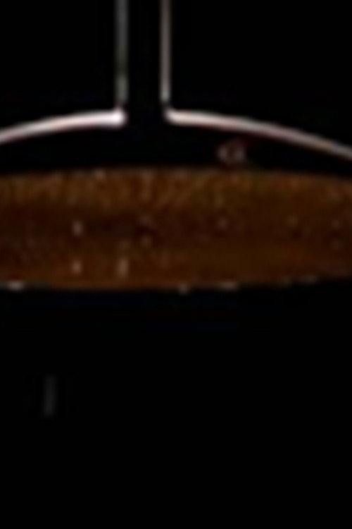 The European Showerbath电影海报