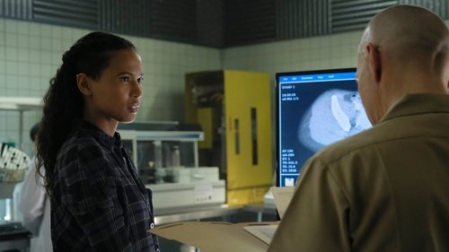 Siren - The Last Mermaid