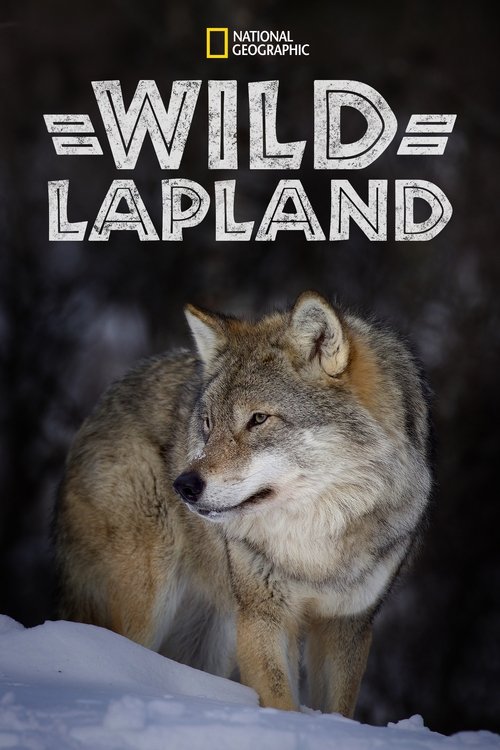 Wild+Lapland