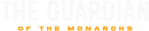 movies