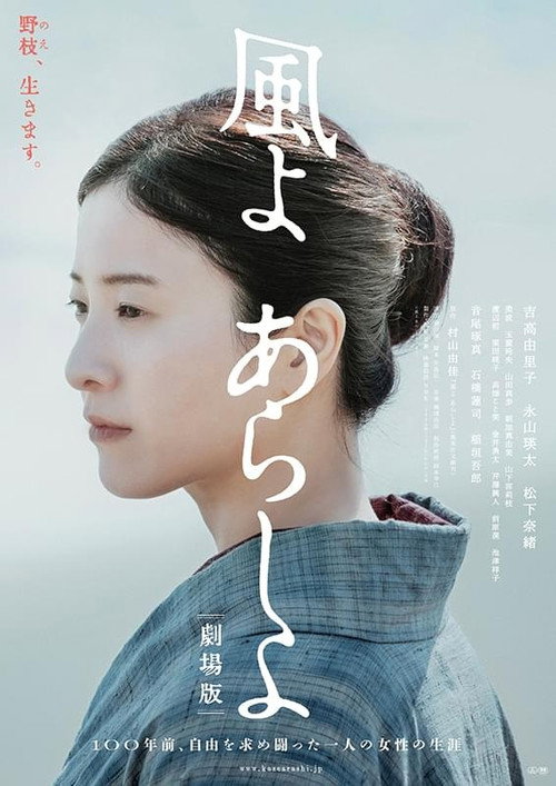 風よ あらしよ 劇場版 Poster
