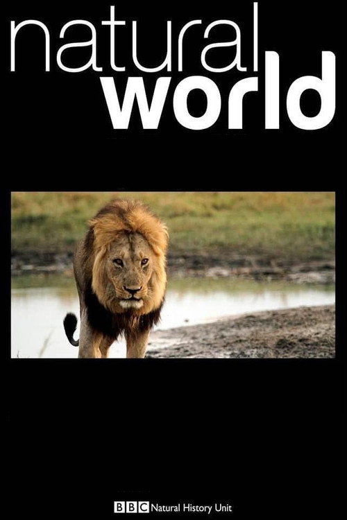 Return of the Giant Killers: Africa's Lion Kings poster 2