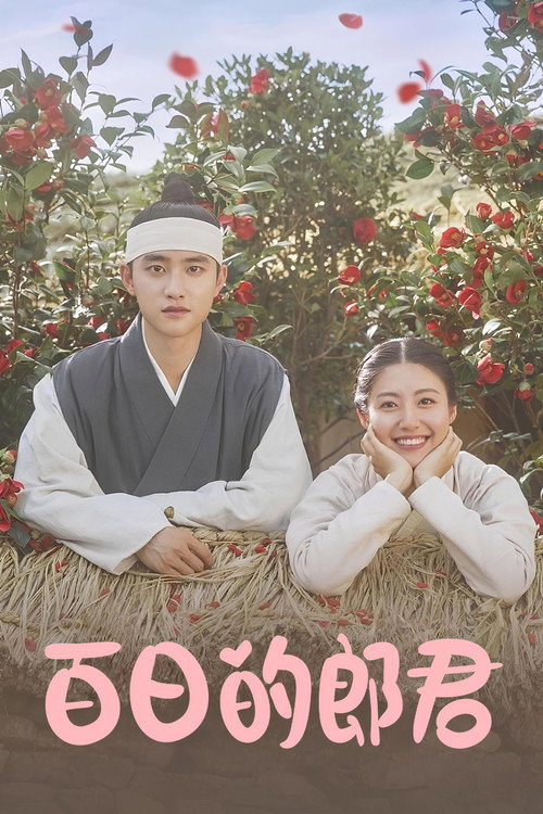 百日的郎君电影海报