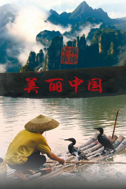 美丽中国电影海报