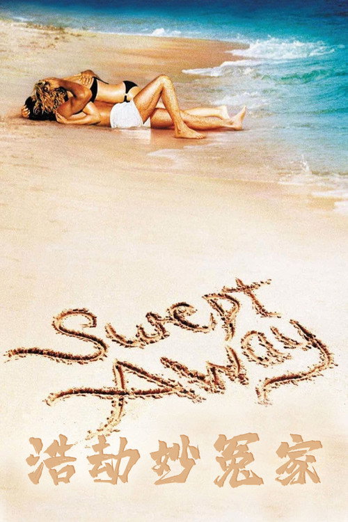 浩劫妙冤家电影海报