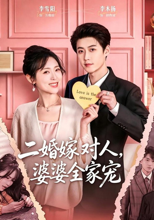 二婚嫁对人，婆婆全家宠电影海报