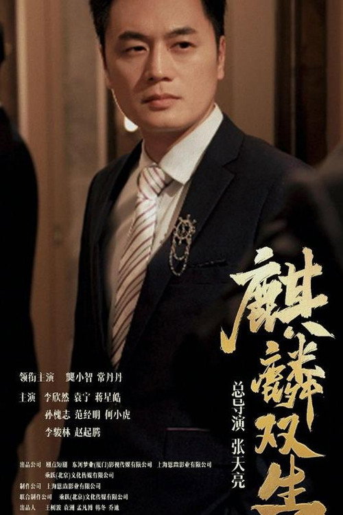 麒麟双生电影海报