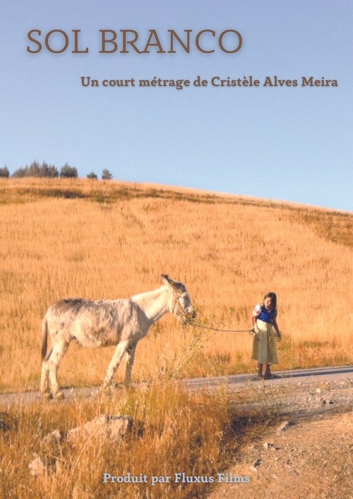 Sol Branco Poster