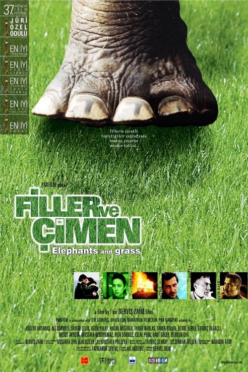 Elephants and Grass 2000 Elephants and Grass 2000