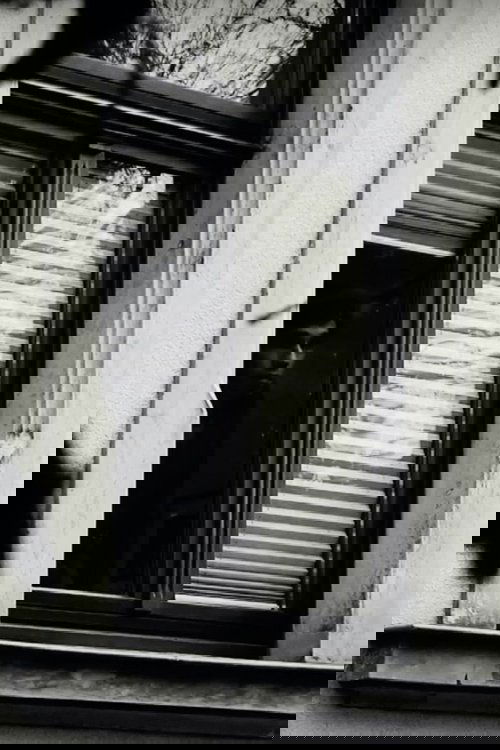 A Candy-Coloured Clown