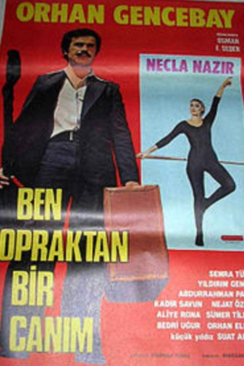 Ben Topraktan Bir Canım poster 2