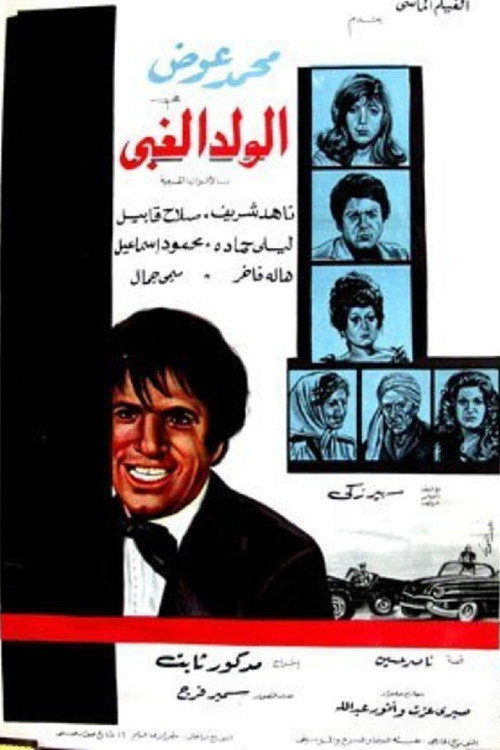 الولد الغبي poster 2