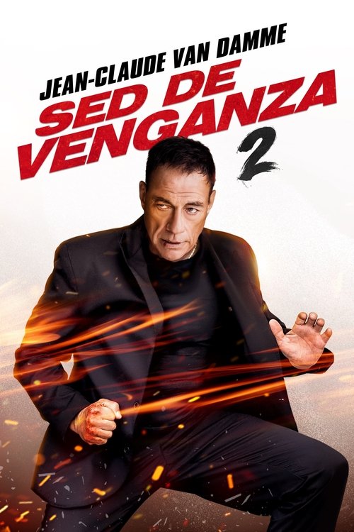 Poster of Sed de Venganza 2