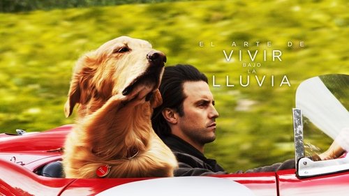 El arte de vivir bajo la lluvia (2019) Watch Full Movie Streaming Online