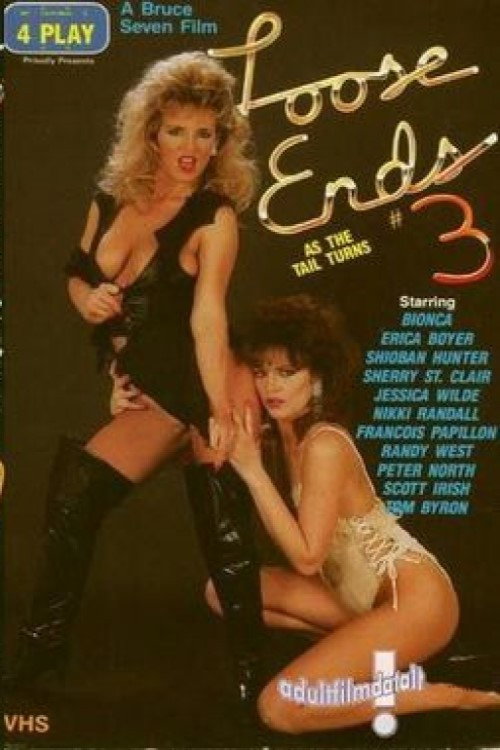 Loose Ends 3 poster 2