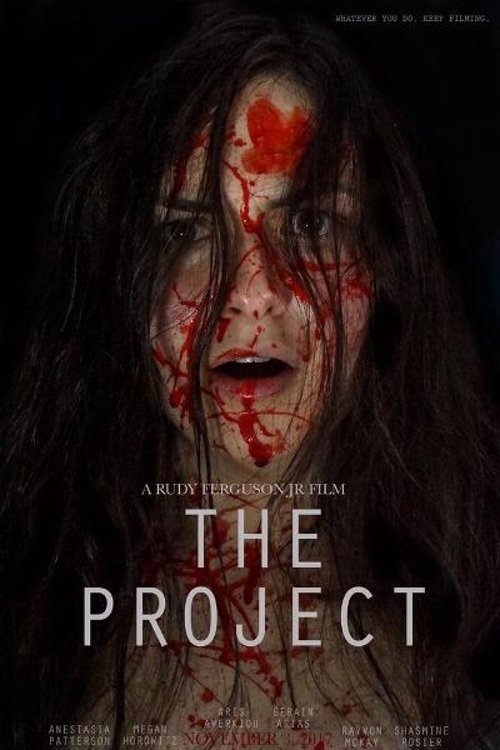The Project Poster