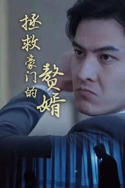 拯救豪门的赘婿电影海报