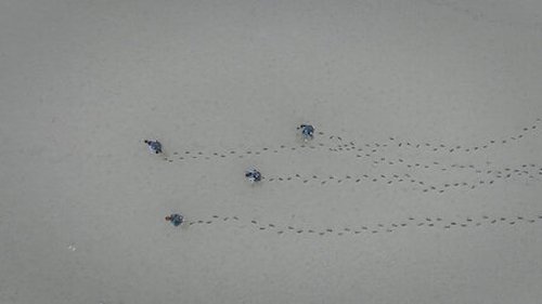 Siren: Survive the Island - 5. Bölüm