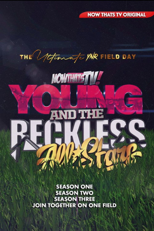 Young And Reckless All Stars电影海报