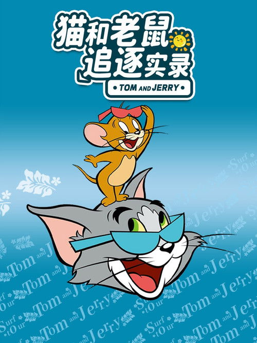 猫和老鼠:追逐实录