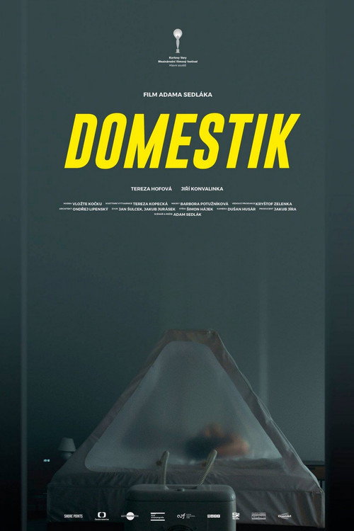 Domestik Domestik 2018 film completo | Flusso italiano | Ganzer film tv