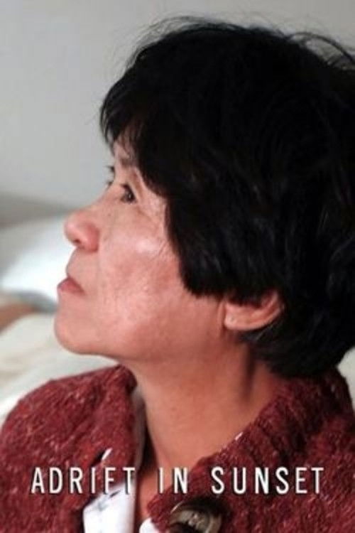 Adrift in Sunset 2015