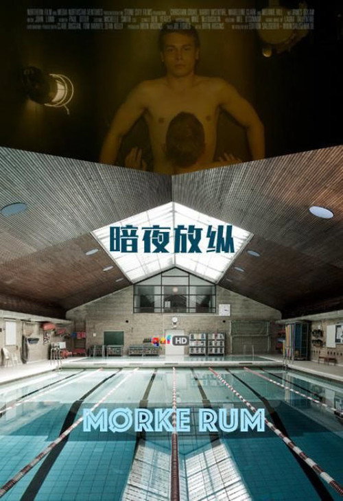 暗夜放纵电影海报