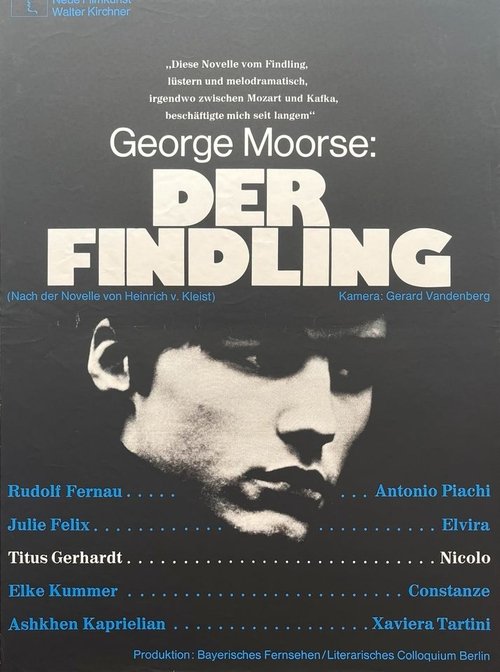 Der Findling Poster