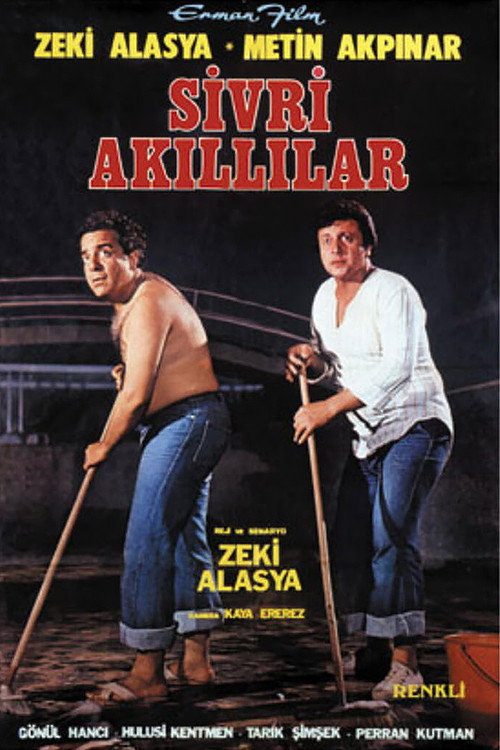 Sivri Akıllılar poster 2
