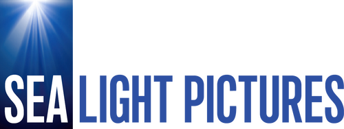 Production Company Logo