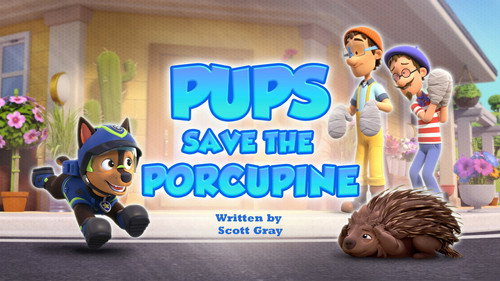 Pups Save the Porcupine