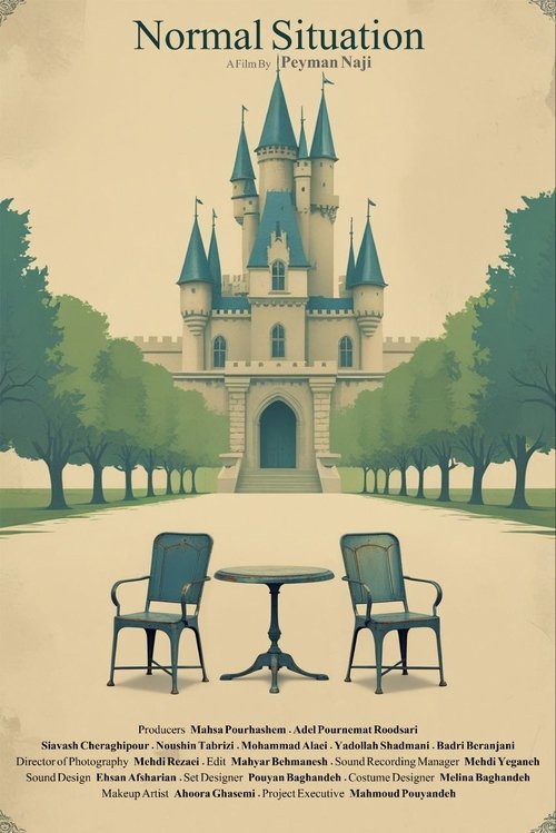 Normal Situation Poster