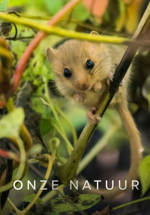 Onze Natuur Ketnet电影海报