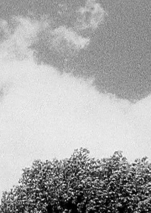ver filme Tree & Cloud (1998) Filme Completo Portugues Dublado legendado Tree & Cloud (1998) Assista a transmissão de filmes completos on-line