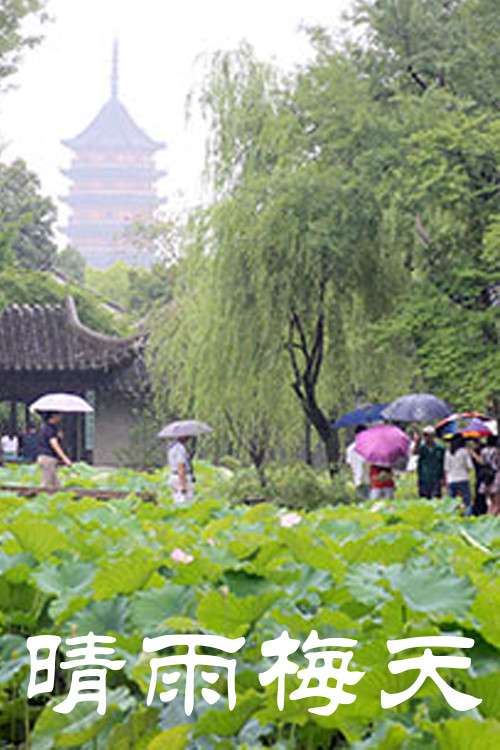 晴雨梅天电影海报