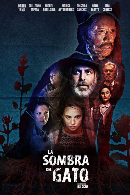 Background poster of La sombra del gato blurred