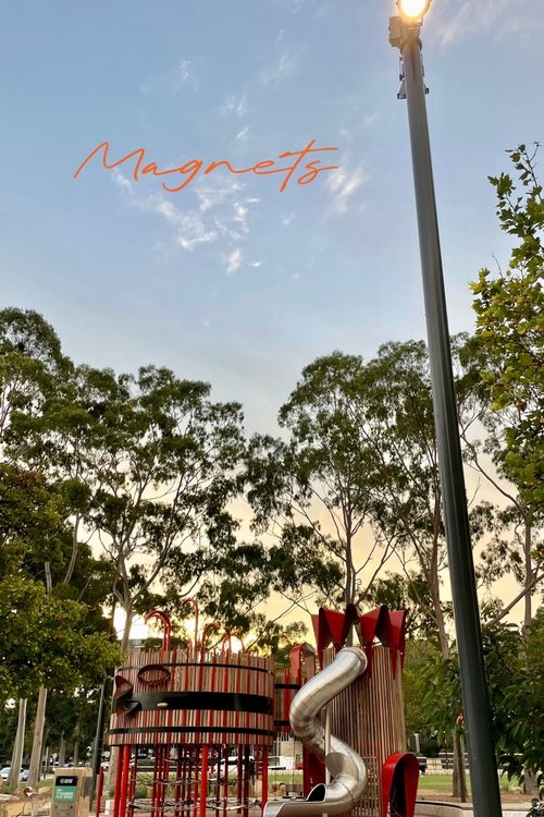Magnets Poster